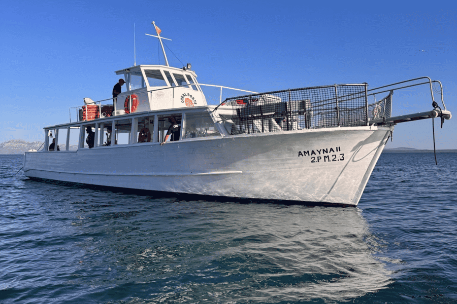 Alcúdia: Tapas-Bootsfahrt bei Sonnenuntergang mit Cava & Sangria, kleine Gruppe. Foto: GetYourGuide