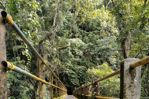 Lombok: Bangket Bayan Village & Waterfalls Guided Tour