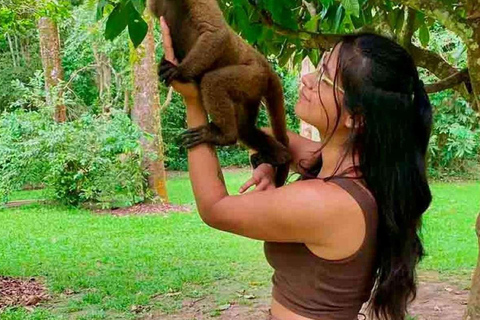 Excursão de dia inteiro à ilha dos macacos