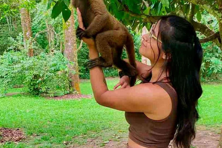 Excursão de dia inteiro à ilha dos macacos