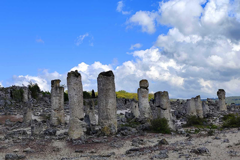 Stone Forest: Bulgaria's Hidden Energy Experience