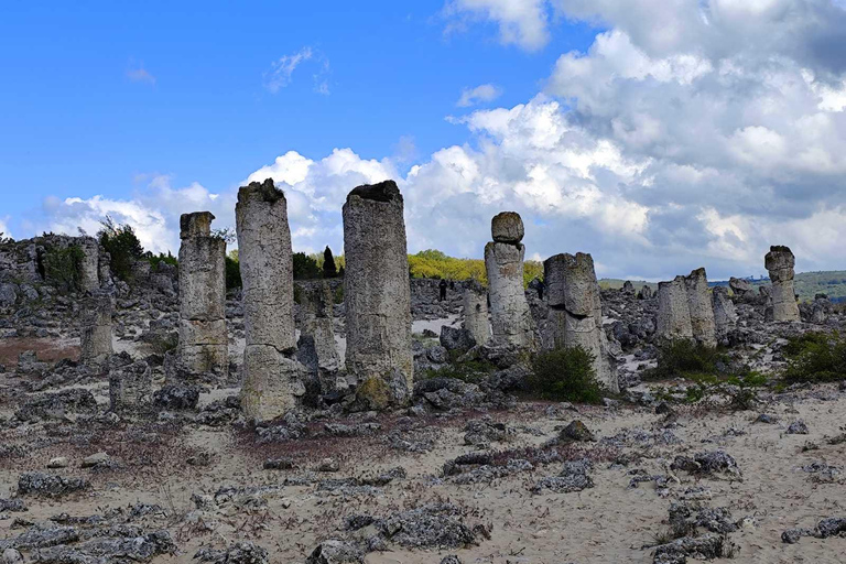 Stone Forest: Bulgaria's Hidden Energy Experience