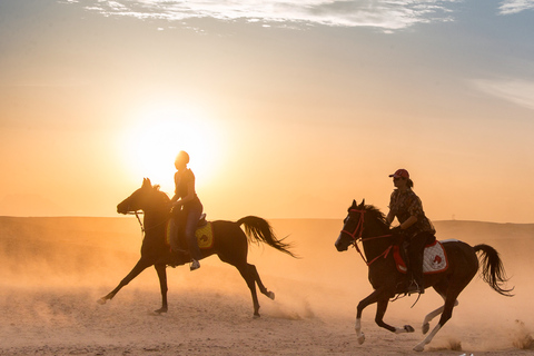 Hurghada: Paseo en quad, camello y caballo con barbacoa y observación de las estrellasVisita compartida