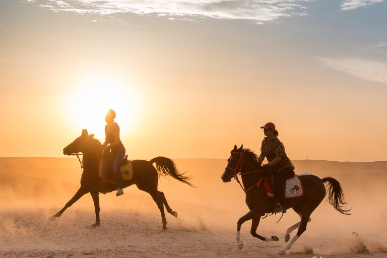 Hurghada: Paseo en quad, camello y caballo con barbacoa y observación de las estrellasVisita compartida