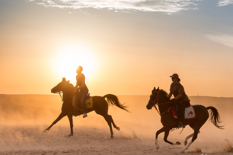 Hurghada : VTT, chameau, promenade à cheval avec barbecue et observation des étoilesVisite partagée