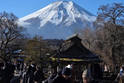 From Tokyo: Mt. Fuji & Hakone Private Scenic Day Tour