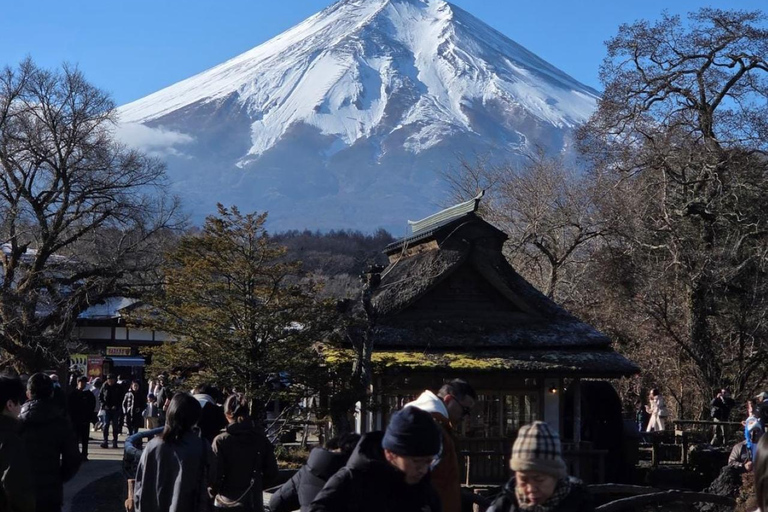 From Tokyo: Mt. Fuji & Hakone Private Scenic Day Tour