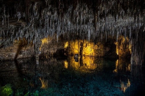 Höhlen von Drach: Eintritt, Musikkonzert und BootsfahrtHöhlen von Drach: Ticketbesuch, Musikkonzert und Bootsfahrt