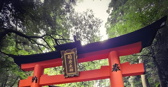 Private Kyoto Sightseeing Tour (Green Number Plates)