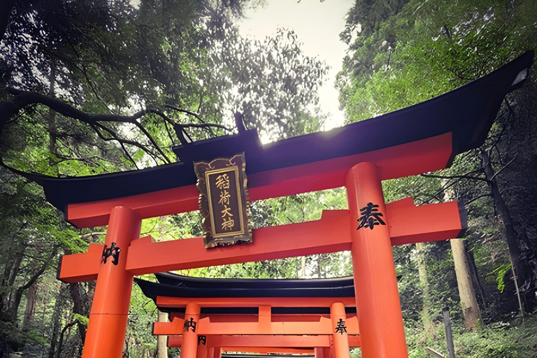 Private Kyoto Sightseeing Tour (Green Number Plates)