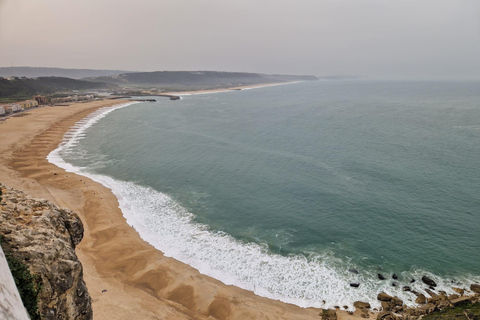 Porto to Lisbon with Aveiro-Coimbra-Fátima-Nazaré-Óbidos 3 STOPS