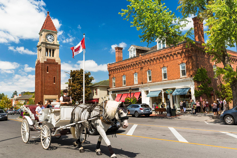 Chutes du Niagara : Visite en petit groupe avec dégustation de vin et croisière