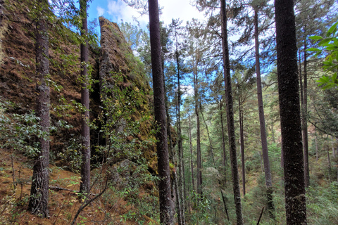 Oaxaca: Sierra Norte Hike & Indigenous Village