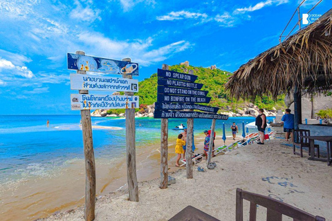 Koh Tao: Snorkel with Turtles at Nangyuan with Fewer Crowds