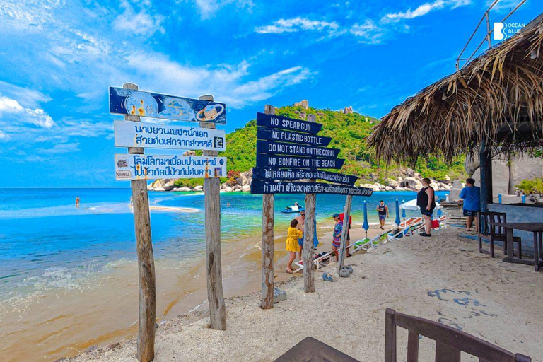 Koh Tao: Snorkel with Turtles at Nangyuan with Fewer Crowds
