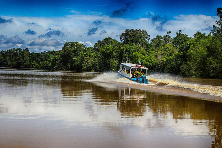 Kinabatangan River Trip from Sandakan with Lunch Included (Shared Tour) Kinabatangan River Trip Sandakan with Lunch