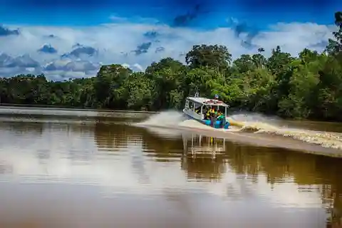 Kinabatangan-flodtur fra Sandakan med frokost inkluderet