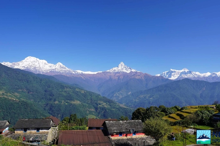 Dhampus Sarangkot Trek: 3-daagse trektocht rond de Pokhara ValleiDhampus Sarangkot Trek: 3 Dagen Familie Korte Gemakkelijke Trek