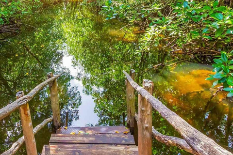 Od dżungli do Stone Town: ucieczka na Zanzibar, pełna przyrody i dziedzictwaWycieczka obejmuje Odbiór z hotelu i transport powrotny