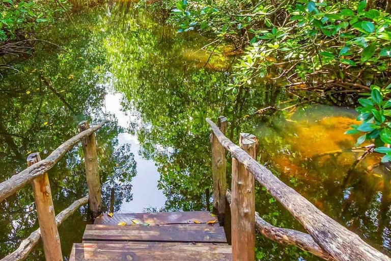 Od dżungli do Stone Town: ucieczka na Zanzibar, pełna przyrody i dziedzictwaWycieczka obejmuje Odbiór z hotelu i transport powrotny