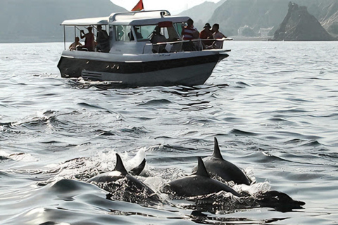 EXCURSIÓN CON DELFINES Y SNORKEL