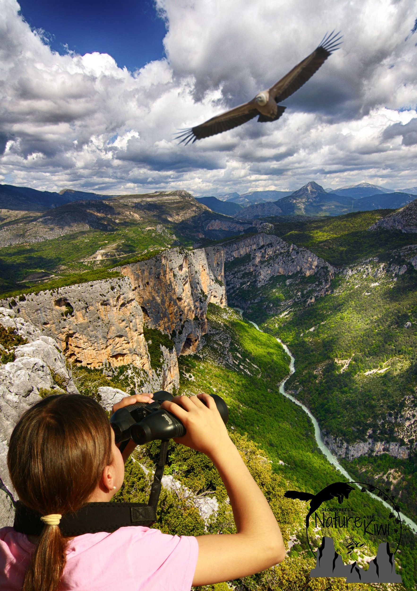 Verdon-Schlucht: Begegnung mit den Geiern