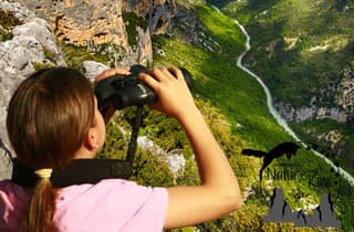 Verdon-Schlucht: Begegnung mit den Geiern
