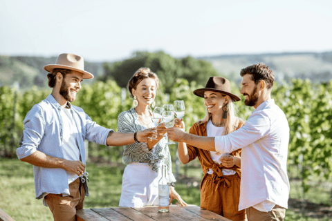 Visite privée de luxe : Sites antiques de Némée et dégustation de vin