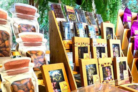 Minca : atelier chocolaterie avec Jungle JoeMinca : Atelier chocolaterie avec Jungle Joe