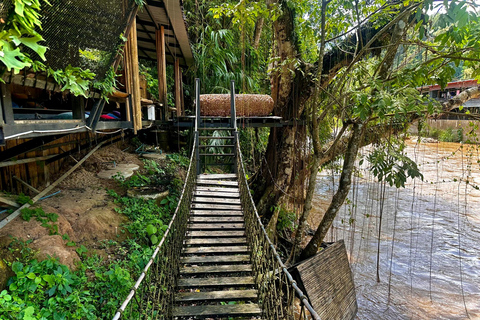 Chiang Mai Sticky Waterfall Tour, ATV and Scenic Café