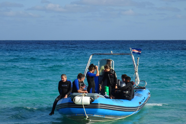 First Dive in Santa Maria, Cape Verde