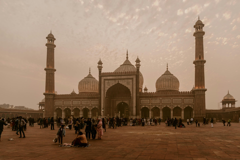 Delhi: Monument Tour with local guides &amp; transport