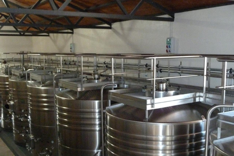 Salta: 2 Wineries and Cheese Factory Tour with Tastings