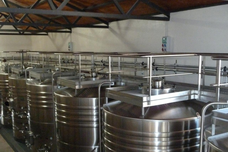 Salta: 2 Wineries and Cheese Factory Tour with Tastings