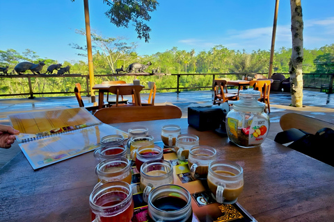 Ubud Half-Day Highlights Tour with Flexible Midday Pickup
