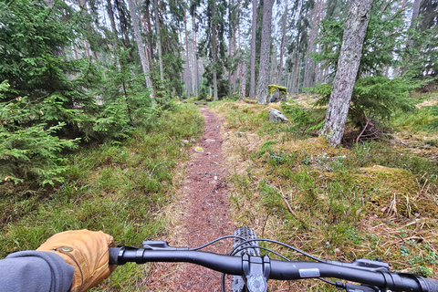 Stockholm: Fat Bike Forest Adventure with Lunch and Sauna FALL 2024