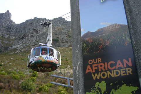 Private Tour: Table Mountain, Penguins Colony & Cape Of Good