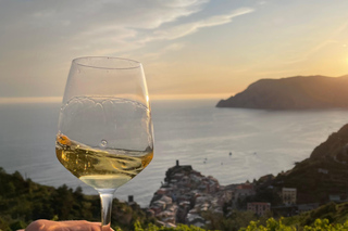 Vernazza: Hike the Heroic Vineyards with Local Wine Tasting