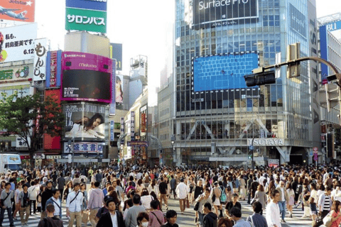 Tokyo stad: Anpassa dagstur engelsktalande chaufför