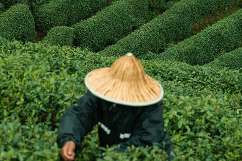 من هانغتشو: قرية لونغوو للشاي، جولة في بلدة لونغمن والسدGuide for other languages