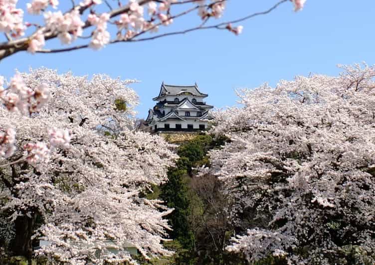 Saindo de Osaka: Castelo de Hikone, Lago Biwa e Passeio de Outlet
