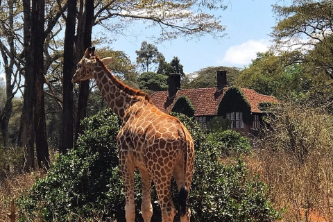 Visite du Centre des girafes et des Bomas du Kenya