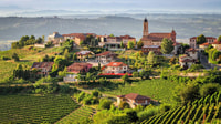 Tour della regione di Langhe di un'intera giornata con esperienza di degustazione di vini - Housity