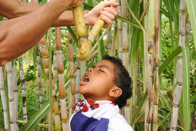 Bayahibe/Romana Buggy Adventure-Caves, Beaches, and Pure Fun