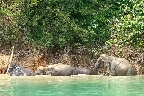 From Krabi: Unforgettable Full-Day Khao Sok Lake Adventure