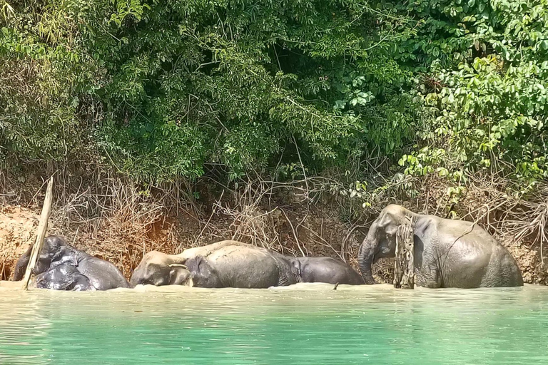 From Krabi: Unforgettable Full-Day Khao Sok Lake Adventure