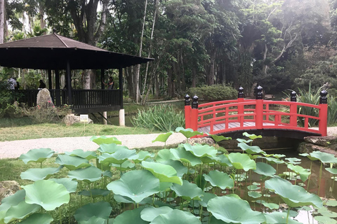 Exploring the Botanical Garden and Lage Park: Natural Riches