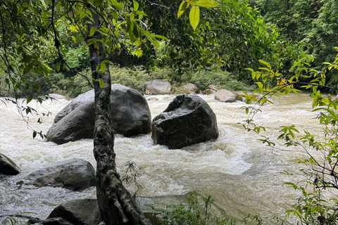 Phuket: Khao Sok 3 dagar 2 nätter äventyrsresa med 7 måltider