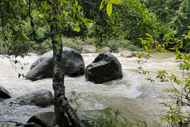 Phuket: Khao Sok 3 dias 2 noites de aventura com 7 refeições