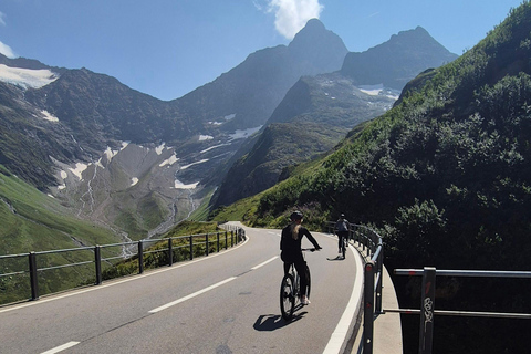 Lucerne : Aventure cycliste en descente avec baignade dans le lac